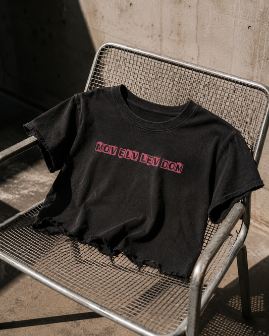 MELD World Distressed Tee | Vintage Black